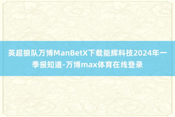 英超狼队万博ManBetX下载能辉科技2024年一季报知道-万博max体育在线登录