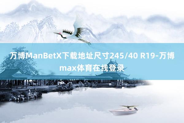 万博ManBetX下载地址尺寸245/40 R19-万博max体育在线登录