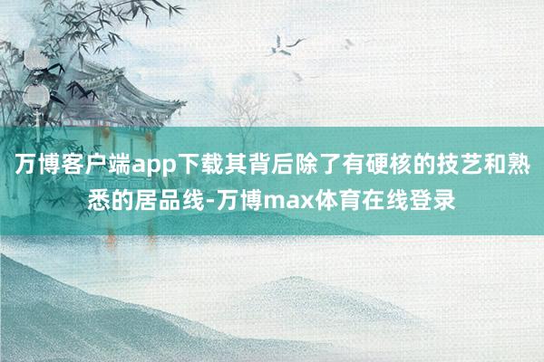 万博客户端app下载其背后除了有硬核的技艺和熟悉的居品线-万博max体育在线登录